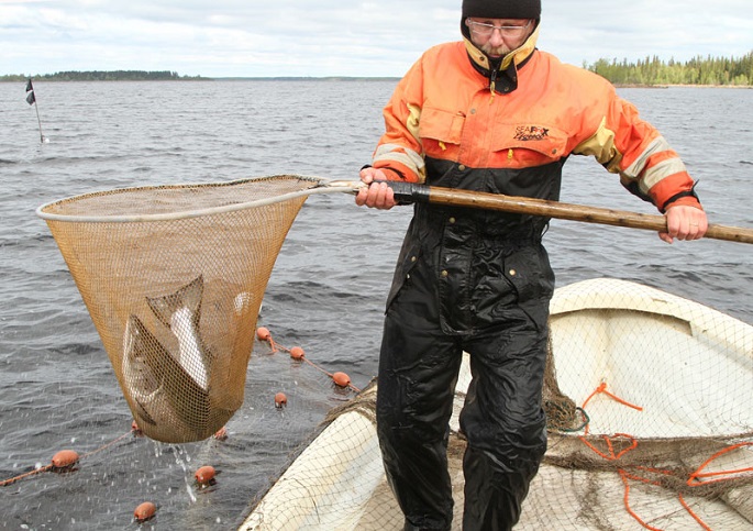 Finland welcomes stricter control in Baltic fisheries
