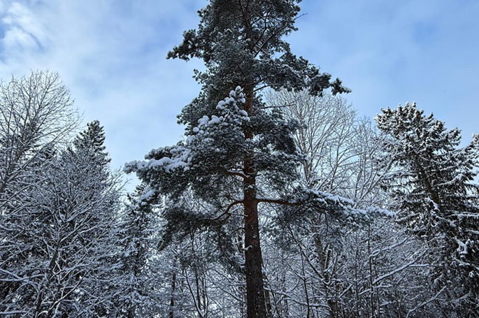 Finland sees record warmest average temperature in March